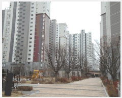  2025Ÿ��41353  ����Ʈ���