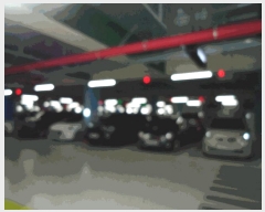  2025Ÿ��41353  ����Ʈ���