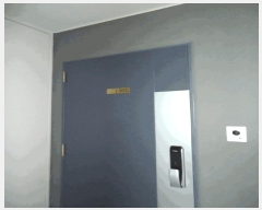  2025Ÿ��41353  ����Ʈ���