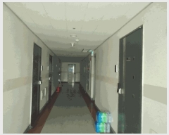  2025Ÿ��41495 ��� ���ý� ������ 304-5 ����Ʈ���ڸ���1�� 3��312ȣ     ���ǽ��ڰ��