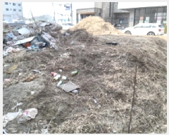  2025Ÿ��41537 ��� ���ý� ������ 1795-2       ����(����)���