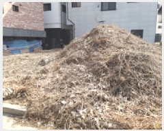  2025Ÿ��41537 ��� ���ý� ������ 1795-2       ����(����)���