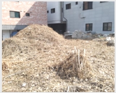  2025Ÿ��41537 ��� ���ý� ������ 1795-2       ����(����)���