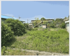  2025Ÿ��41572 ��� ���ý� �ؼ��� ������ 128-2      ���ð��