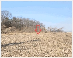  2025Ÿ��41581  â���������