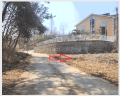  2025Ÿ��41581  â���������