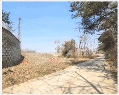  2025Ÿ��41581  â���������