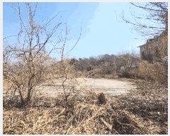  2025Ÿ��41581  â���������