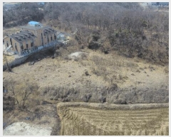  2025Ÿ��41581  â���������