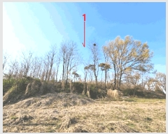  2025Ÿ��41598 ��� ���ý� ������ ���� 187-1      ����(�Ӿ�)���