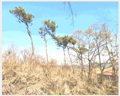  2025Ÿ��41598 ��� ���ý� ������ ���� 187-1      ����(�Ӿ�)���