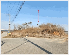  2025Ÿ��41598 ��� ���ý� ������ ���� 187-1      ����(�Ӿ�)���