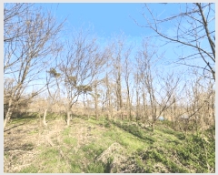  2025Ÿ��41598 ��� ���ý� ������ ���� 187-1      ����(�Ӿ�)���