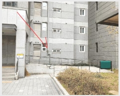  2025Ÿ��41607  ����Ʈ���