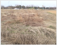  2025Ÿ��41626  �����