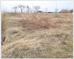  2025Ÿ��41626  �����