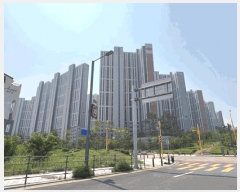  2025Ÿ��41653 ��� ���ý� ���赿 ��175       ����(�Ӿ�)���