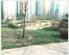  2025Ÿ��41653 ��� ���ý� ���赿 ��175       ����(�Ӿ�)���