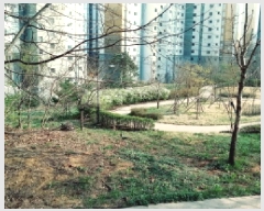  2025Ÿ��41653 ��� ���ý� ���赿 ��175       ����(�Ӿ�)���