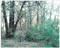  2025Ÿ��41653 ��� ���ý� ���赿 1152       ����(��1)���