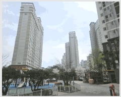  2025Ÿ��41684 ��� �ȼ��� ���굿 557 �ȼ��ƾ籤�����α׷��� 104�� 18��1803ȣ    ����Ʈ���