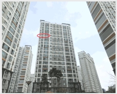  2025Ÿ��41684 ��� �ȼ��� ���굿 557 �ȼ��ƾ籤�����α׷��� 104�� 18��1803ȣ    ����Ʈ���