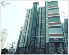  2025Ÿ��41684 ��� �ȼ��� ���굿 557 �ȼ��ƾ籤�����α׷��� 104�� 18��1803ȣ    ����Ʈ���