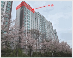  2025Ÿ��41695  ����Ʈ���