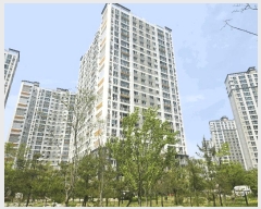  2025Ÿ��41726 ��� �ȼ��� ���굿 557 �ȼ��ƾ籤�����α׷��� 102�� 7��701ȣ    ����Ʈ���