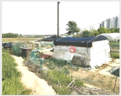  2025Ÿ��41747 ��� �ȼ��� ����� ����õ�� 225-1      ����(��)���