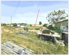  2025Ÿ��41747 ��� �ȼ��� ����� ����õ�� 225-1      ����(��)���