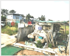  2025Ÿ��41747 ��� �ȼ��� ����� ����õ�� 225-1      ����(��)���