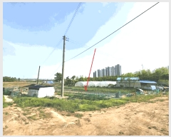  2025Ÿ��41747 ��� �ȼ��� ����� ����õ�� 225-1      ����(��)���