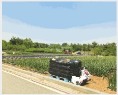  2025Ÿ��41766  ���ð��