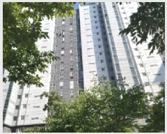  2025Ÿ��42060  ����Ʈ���