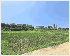  2025Ÿ��42183 ��� ���ý� ������ ���߸� 98-1      ����(��)���