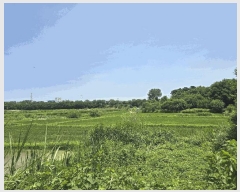  2025Ÿ��42183 ��� ���ý� ������ ���߸� 98-1      ����(��)���