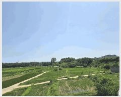  2025Ÿ��42183 ��� ���ý� ������ ���߸� 98-1      ����(��)���