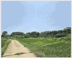  2025Ÿ��42183 ��� ���ý� ������ ���߸� 98-1      ����(��)���