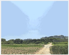  2025Ÿ��42183 ��� ���ý� ������ ���߸� 98-1      ����(��)���