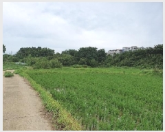  2025Ÿ��42183 ��� ���ý� ������ ���߸� 98-1      ����(��)���