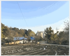  2025Ÿ��42828 ��� ���ý� ������ ���⸮ 75      ����(����)���