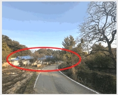  2025Ÿ��42828 ��� ���ý� ������ ���⸮ 75      ����(����)���