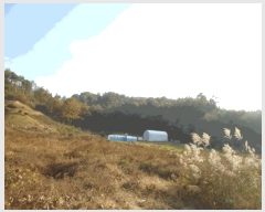  2025Ÿ��42844 ��� �ȼ��� �ݱ��� ���׸� ��6-9      ����(�Ӿ�)���