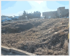  2025Ÿ��226 ��� ���ý� ��ź�� �ݰ��� ��7-12      ����(�Ӿ�)���