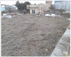  2025Ÿ��226 ��� ���ý� ��ź�� �ݰ��� ��7-12      ����(�Ӿ�)���