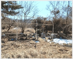  2025Ÿ��448  â���������