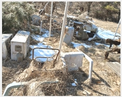  2025Ÿ��448  â���������