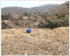  2025Ÿ��448  â���������