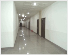  2025Ÿ��560  ����Ʈ��������